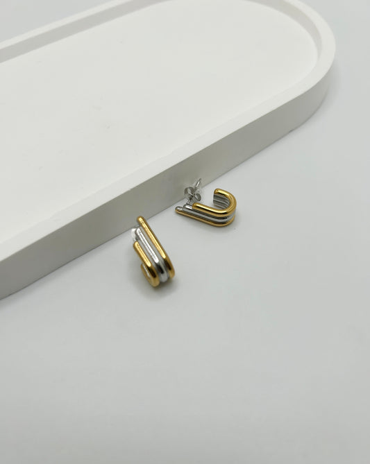 Two- Tone Earrings